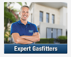 Expert Gasfitters Lansvale