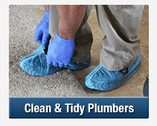 Tidy Plumbers Lansvale
